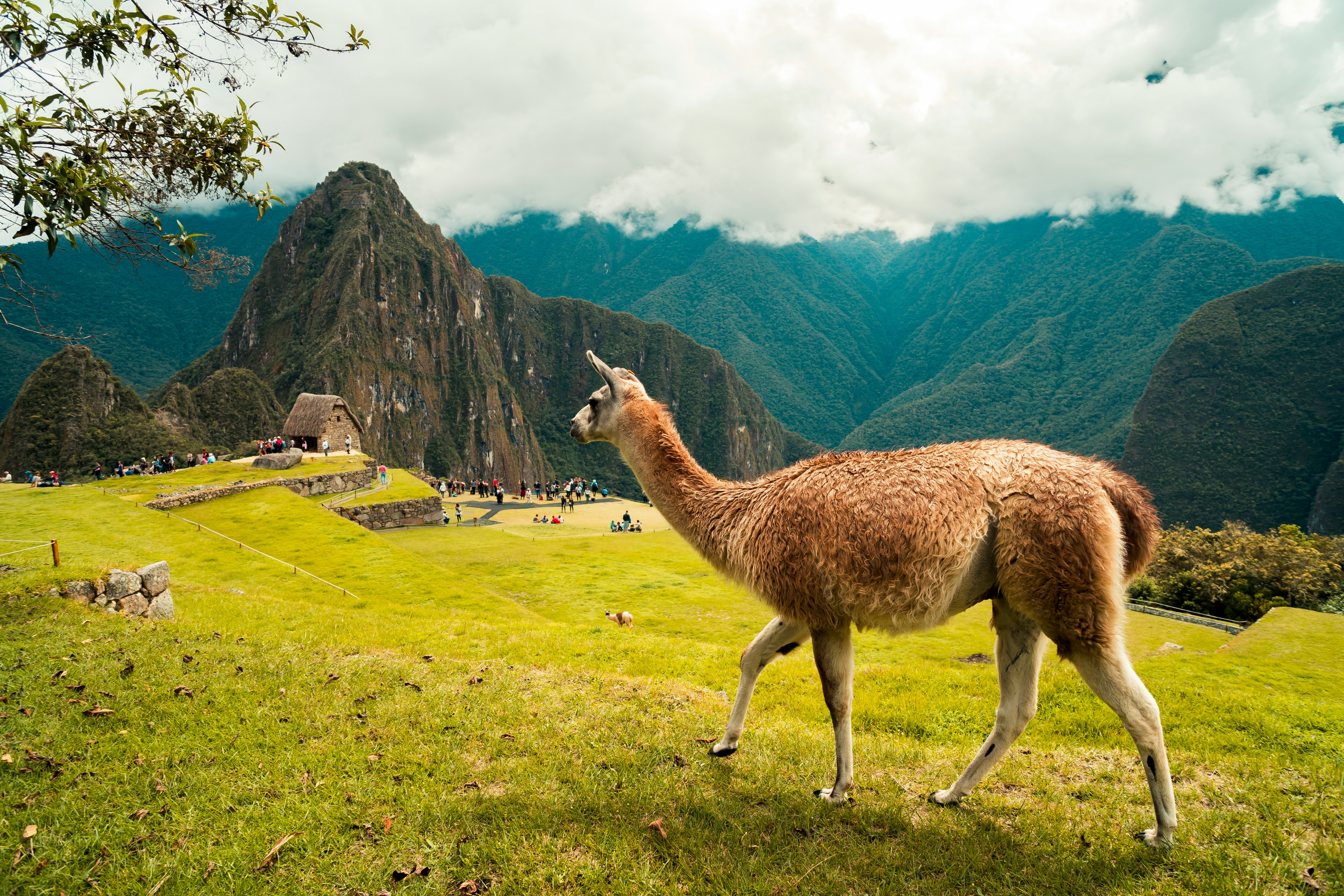Peru